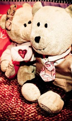 Ours en Peluche Amoureux