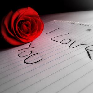 Rose Romantique et Message d'Amour