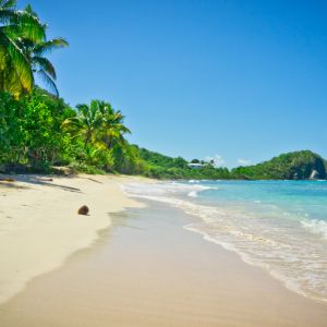 Paradis de Plage Tropicale