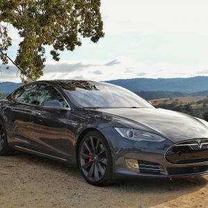 Tesla Model S dans la Nature