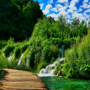 Paysage de Cascade Serein