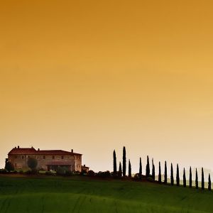 Paysage Toscan au Coucher de Soleil