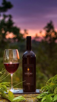 Vin Rouge et Verre