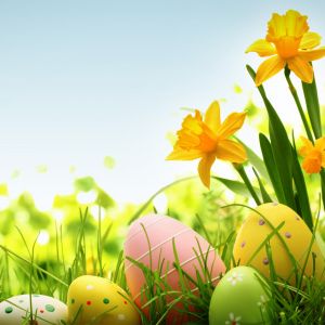 Oeufs de Pâques et Fleurs