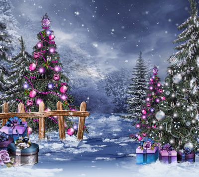 Merveille Hivernale de Noël