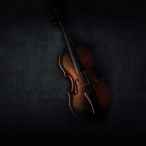 Violon Élégant sur Fond Sombre