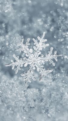 Magnifique Flocon de Neige