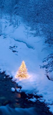 Sapin de Noël Enneigé